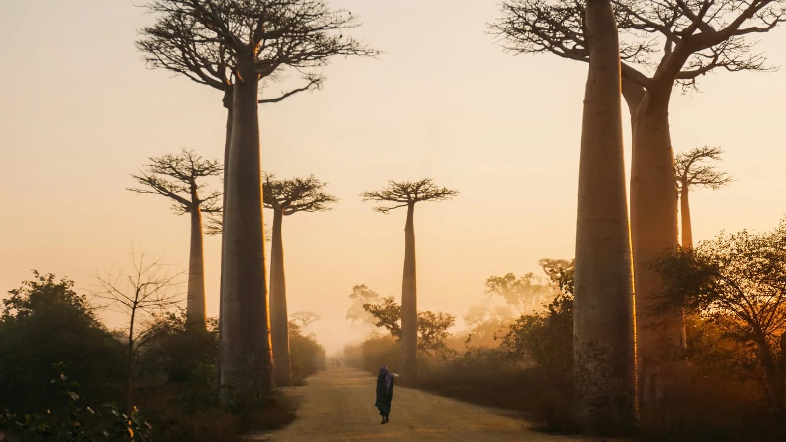 Madagascar