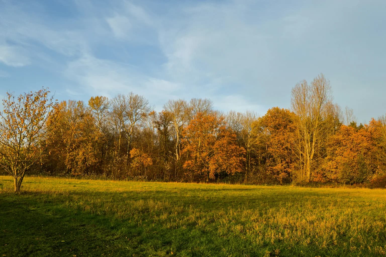 Nature of Belgium