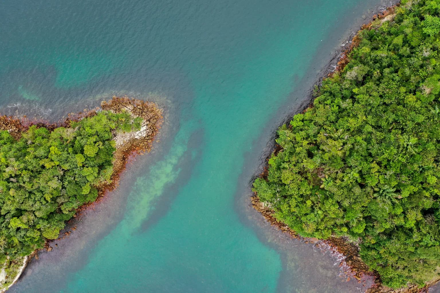 Nature of Brazil
