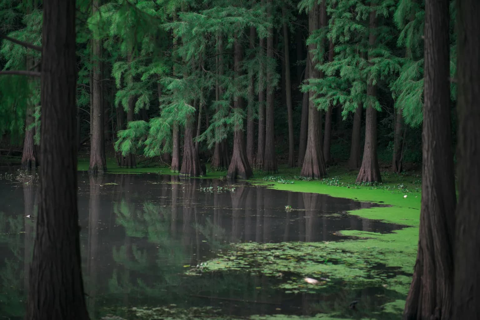 Nature of China