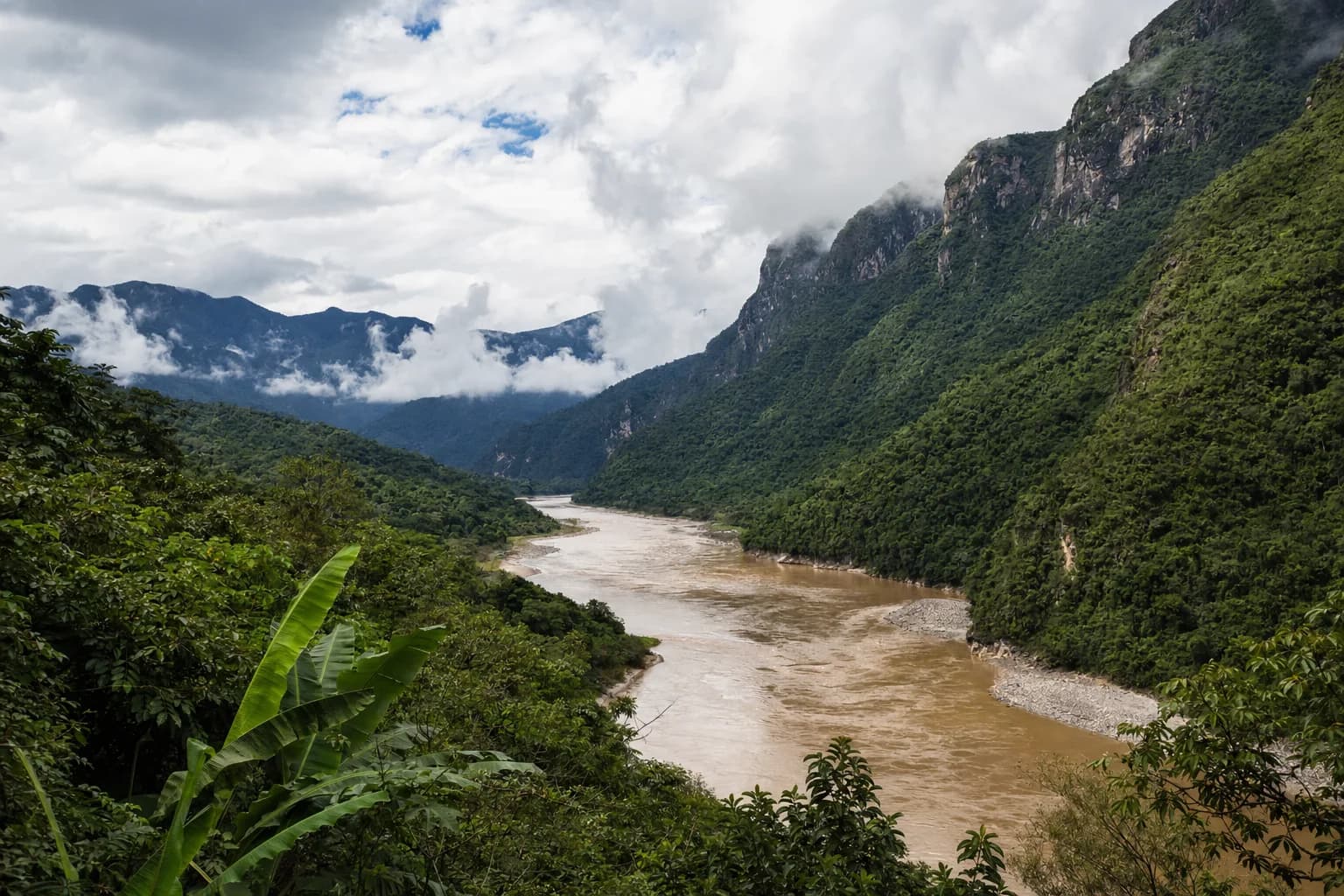 Animals of Colombia