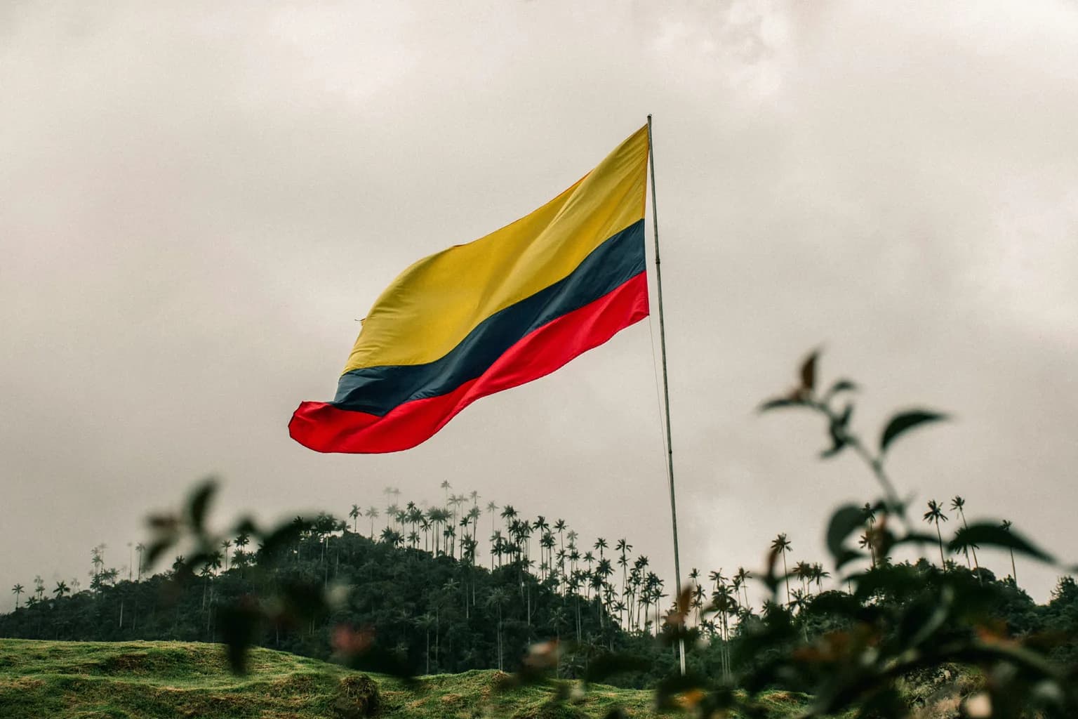 Language of Colombia