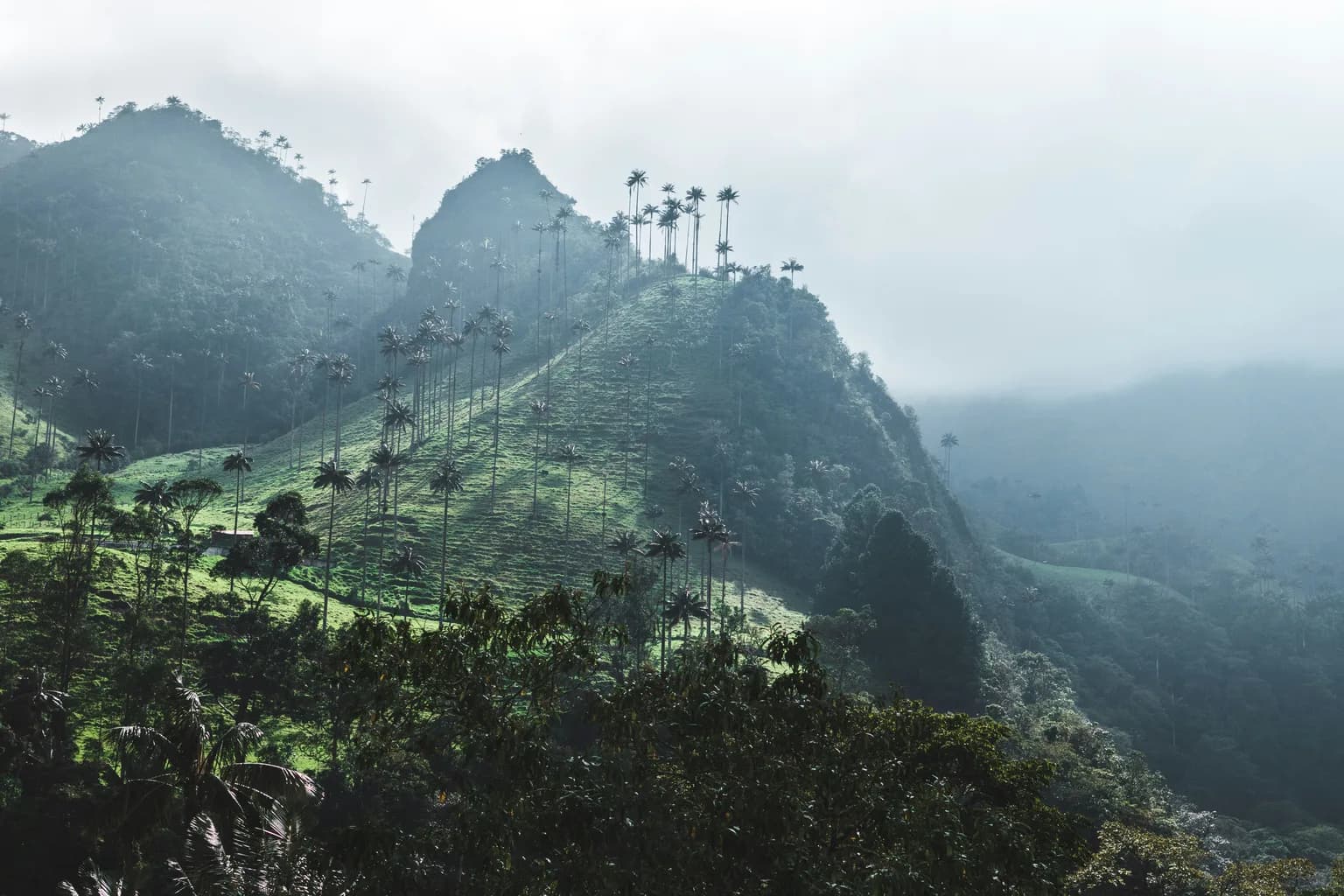 Nature of Colombia