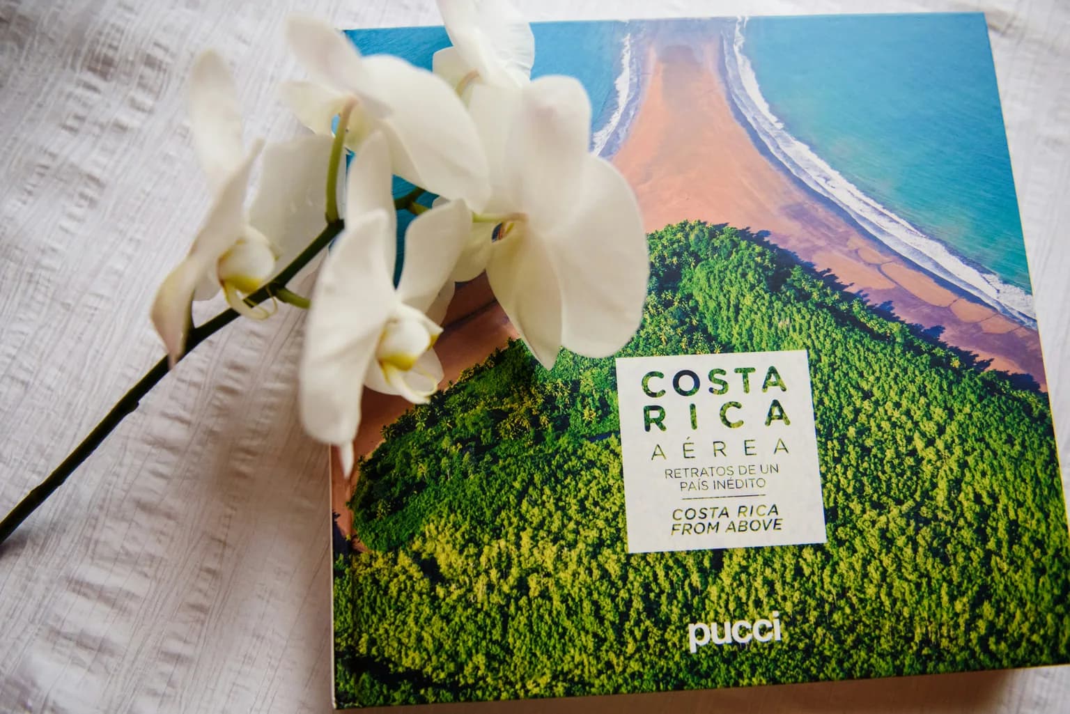 Language of Costa Rica