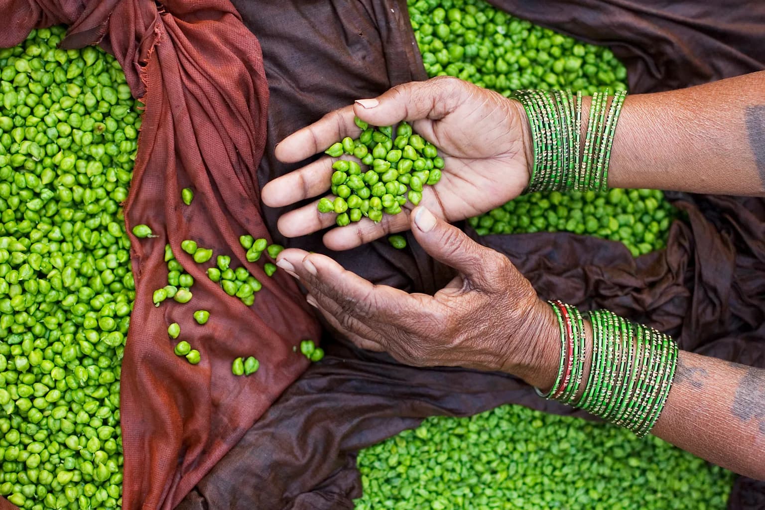 Food of India