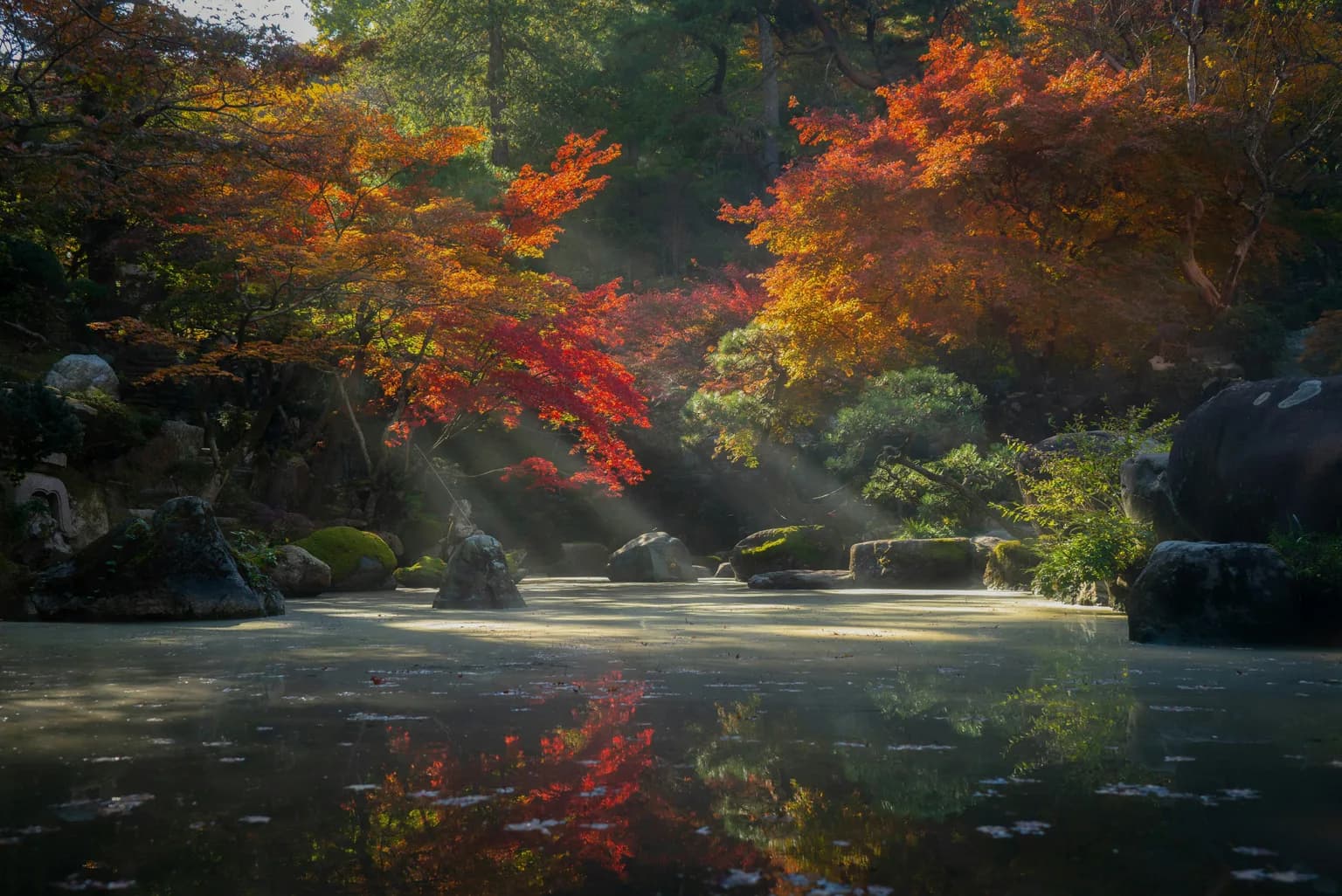 Nature of Japan