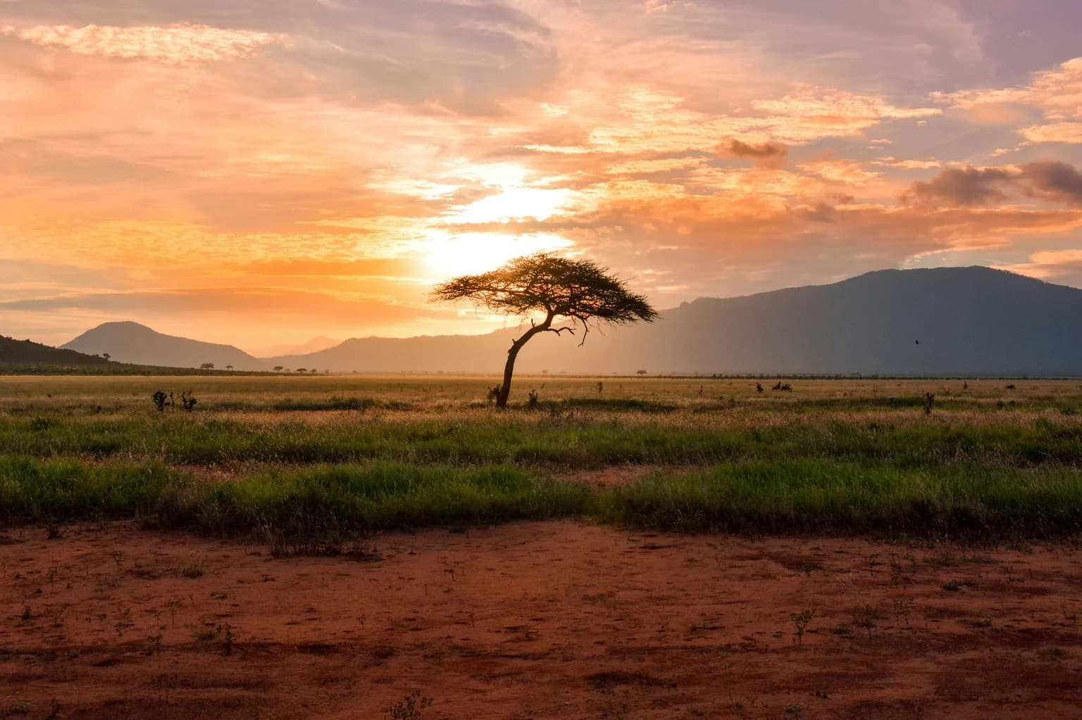 Nature of Kenya