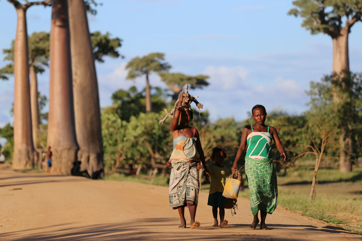 Language of Madagascar