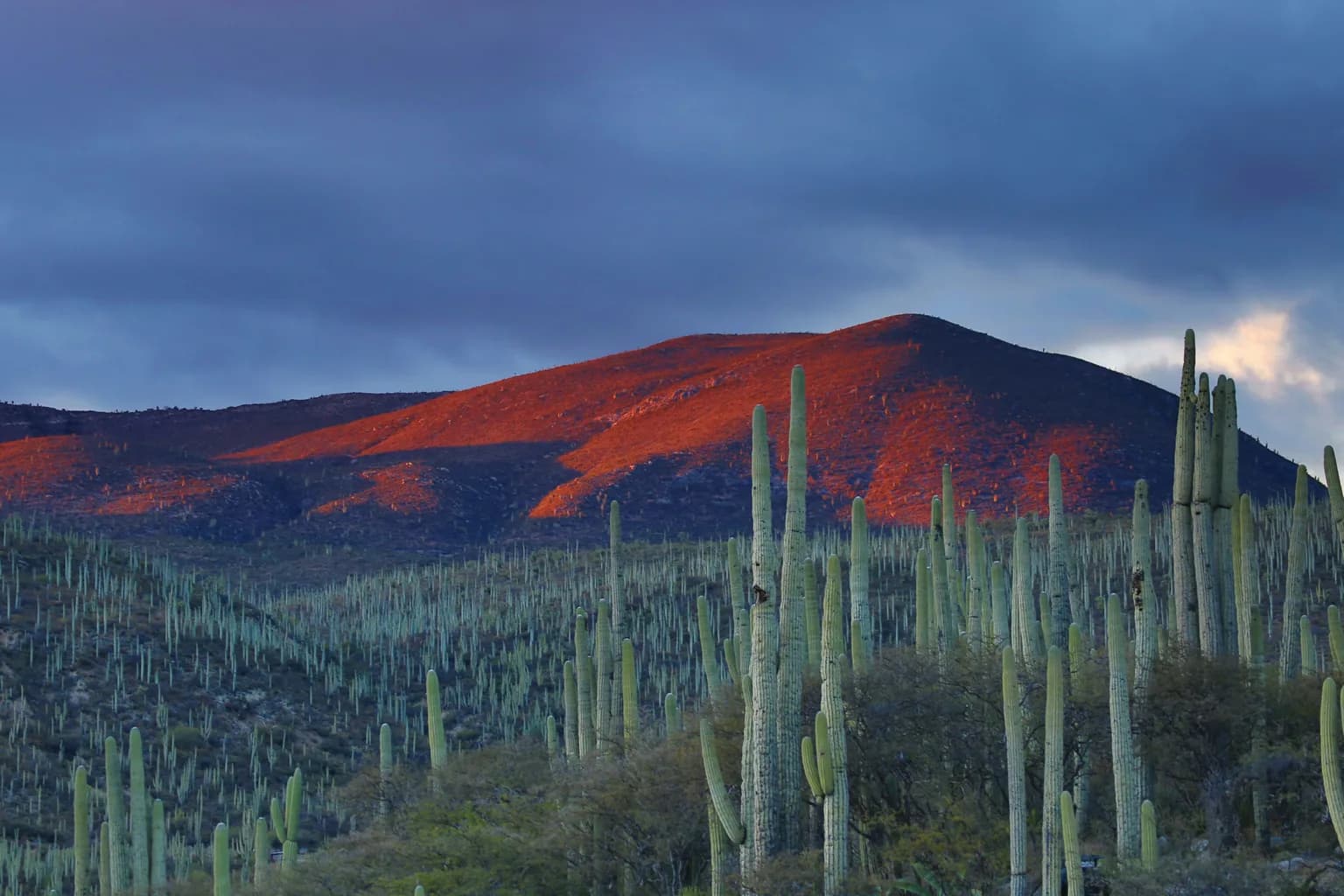 Nature of Mexico