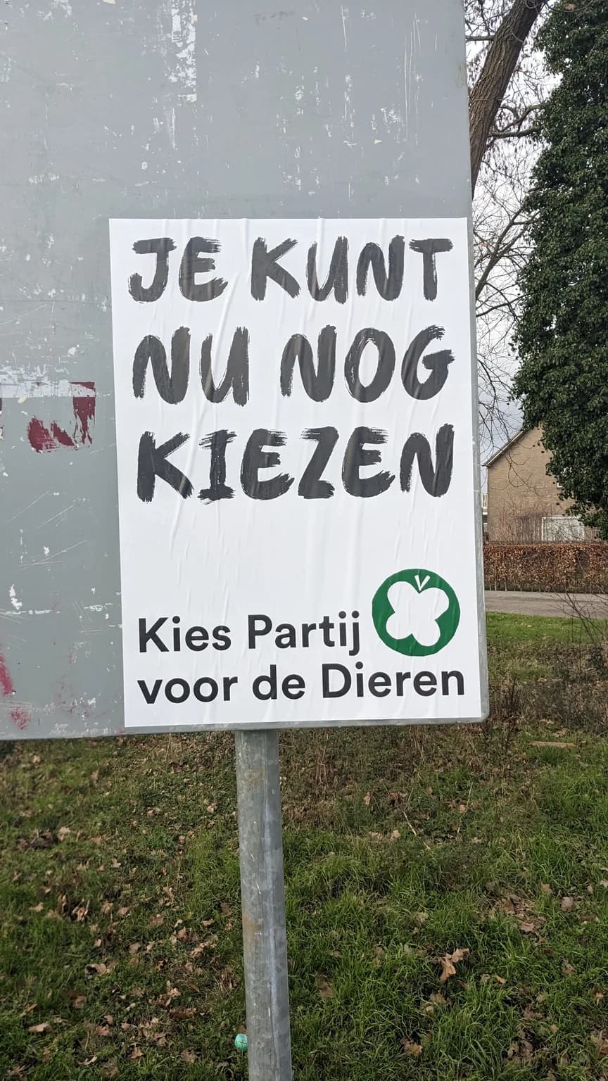Animals of Netherlands