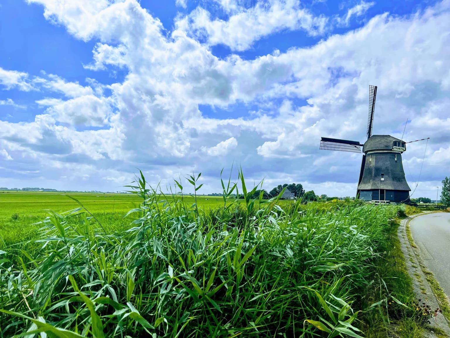 Nature of Netherlands