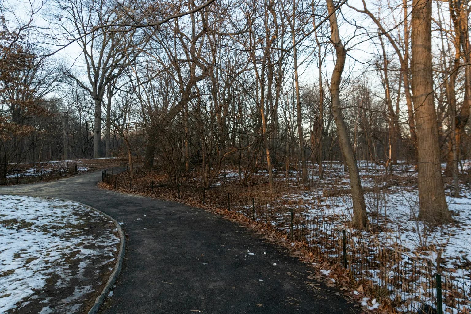Nature of New York