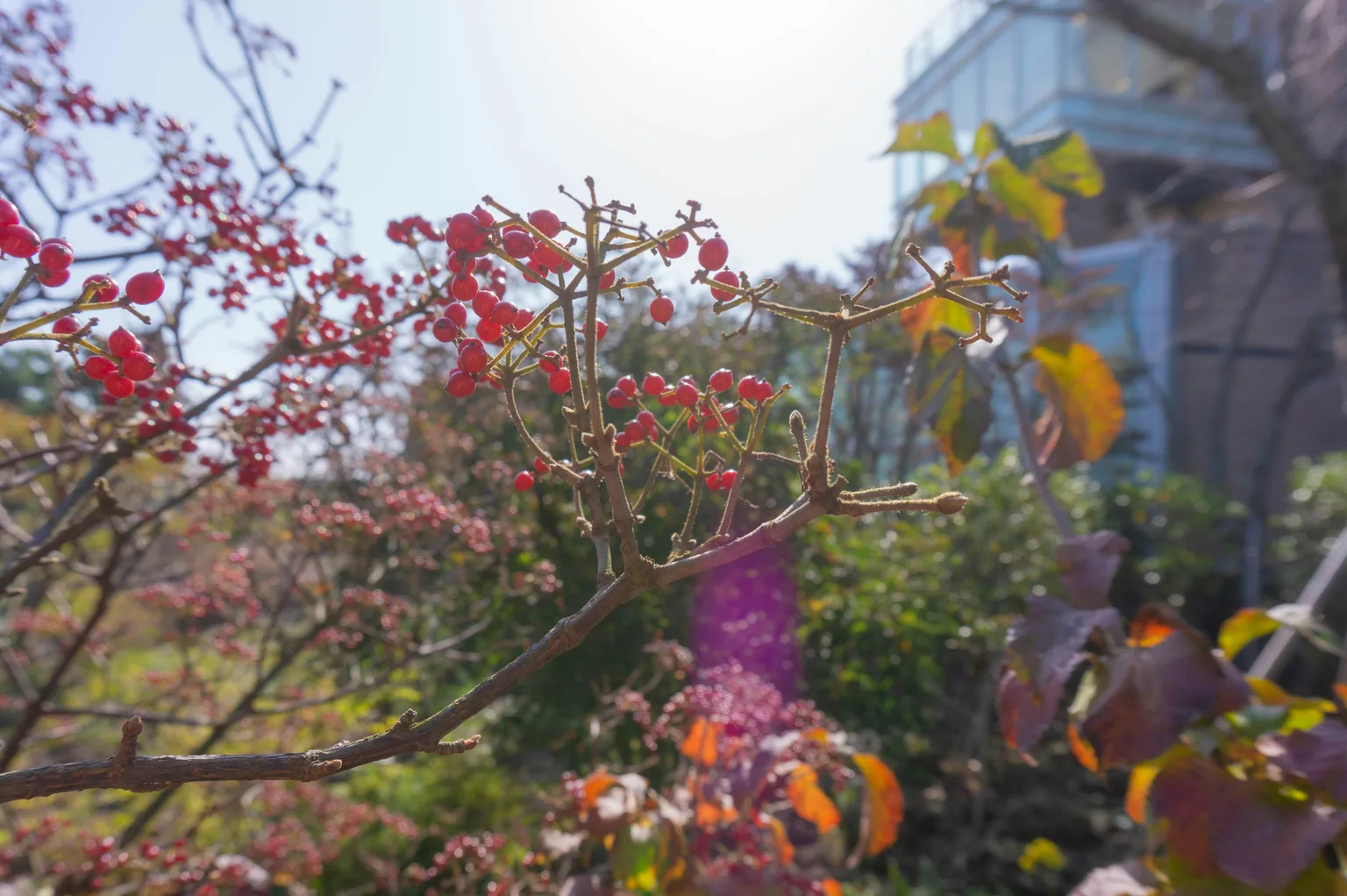 Nature of South Korea