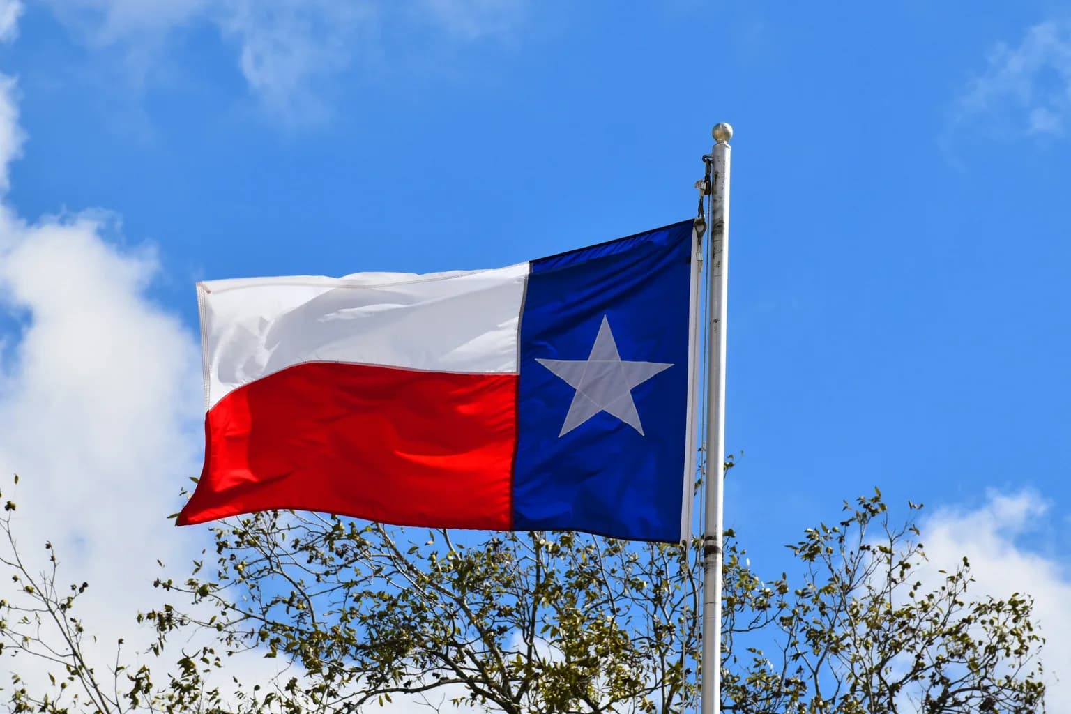 Language of Texas