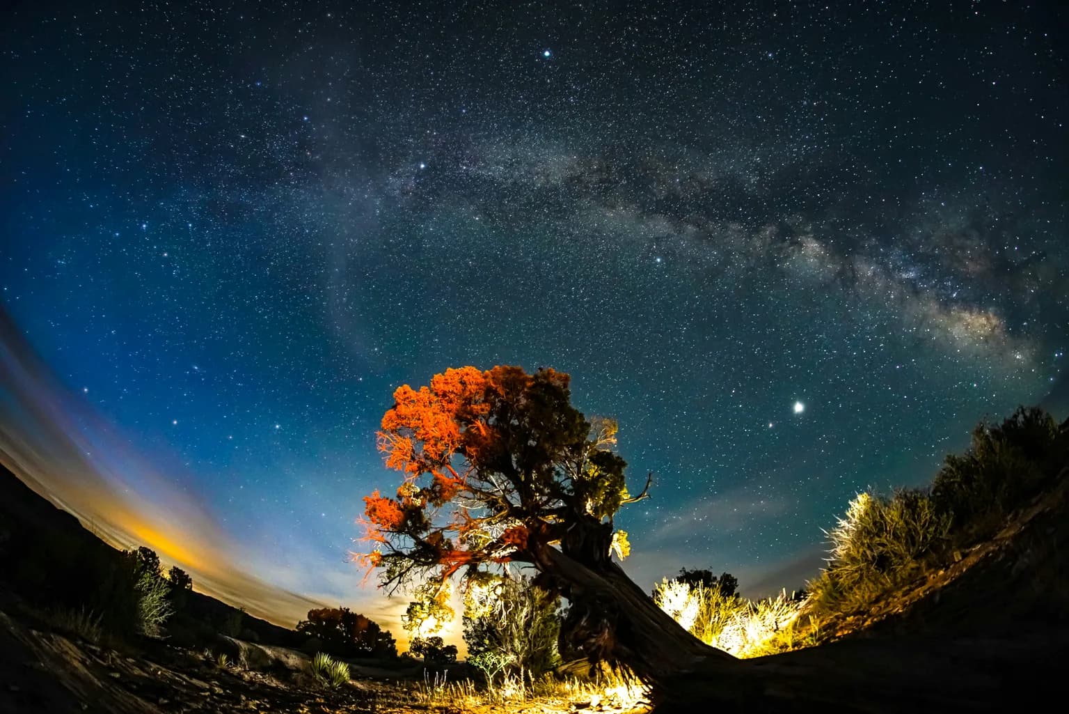 Nature of United States