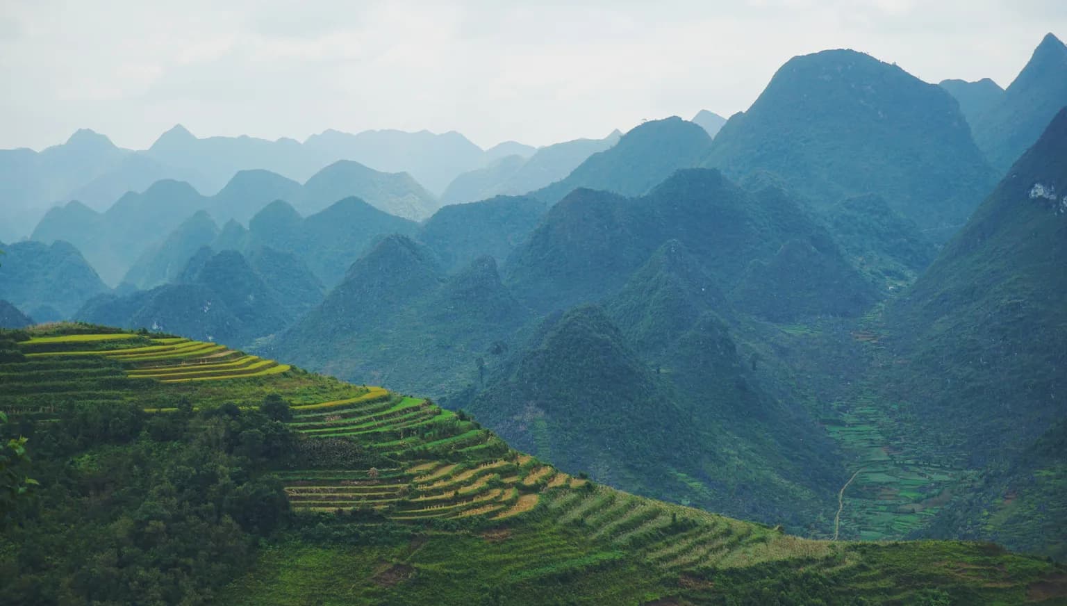 Nature of Vietnam